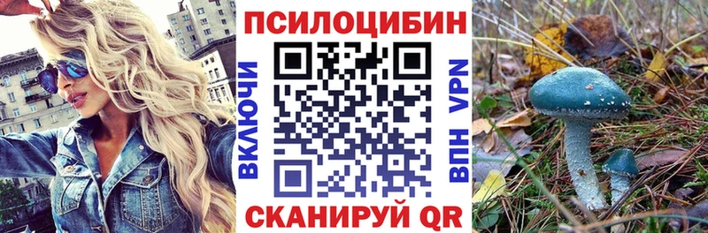 ОМГ ОМГ сайт  Реутов  Галлюциногенные грибы Cubensis 